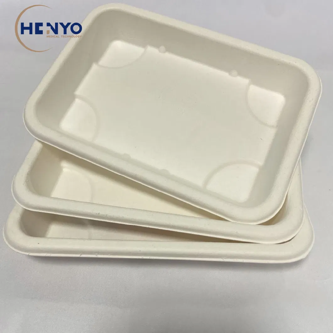 Biodegradable Disposable Sugarcane Bagasse 290ml Lunch Box Lunch Tray