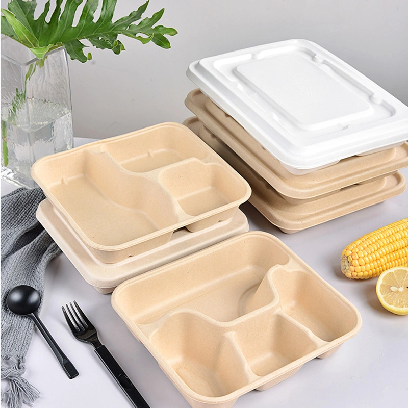 5 Compartments Lunch Tray Fast Food ODM Paper Disposable 100% Biodegradable Bagasse Pulp Pfas Free