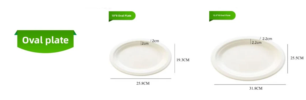 10′′ Customizable Bagasse Round Plate with 3 Compartments Biodegradable Material Compostable Tableware Factory Supply