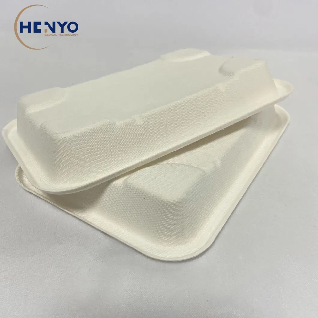 Biodegradable Disposable Sugarcane Bagasse 290ml Lunch Box Lunch Tray