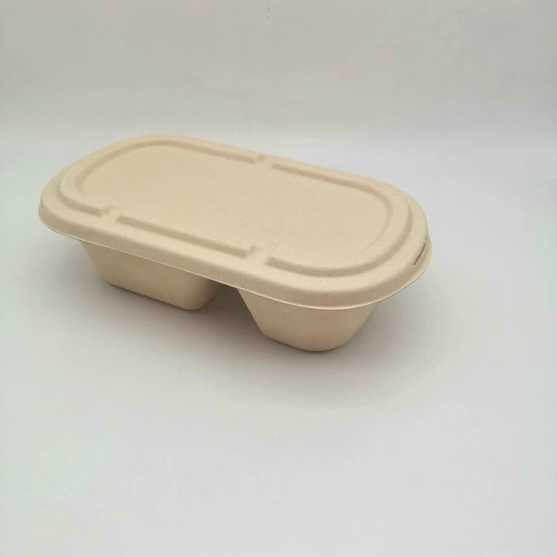 100% Biodegradable 2 Compartment Microwave Food Container 1000ml Bento Box with Lid