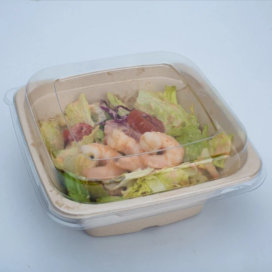 Biologisch abbaubarer Einweg-Lebensmittelbehälter aus Zuckerrohr-Bagasse, Restaurant-Lebensmittel-Mitnahme-Lunchbox mit Deckel