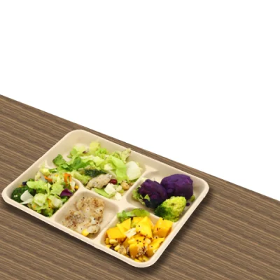 Lunchtablett mit 5 Fächern, Fast-Food-ODM-Papier, Einweg-100 % biologisch abbaubarer Bagasse-Zellstoff, Pfas-frei