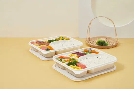 Einweg-Lebensmittelbehälter, Großhandel, Maisstärke, Surgarcane, Bagasse, Aufbewahrung, biologisch abbaubar, Bento-Mitnahme-Schnell-Lunchbox mit Deckel