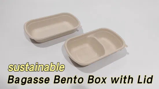 Biologisch abbaubare Einwegverpackung zum Mitnehmen, Zuckerrohr-Bagasse-Lebensmittel-Lunchbox mit Deckel